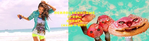 хмурый Алексеевка