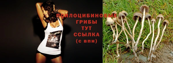 хмурый Алексеевка